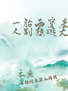 一胎两宝老婆大人别想逃大结局