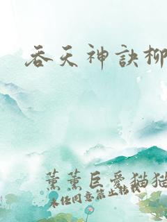 吞天神诀柳无邪