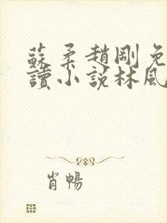 苏柔赵刚免费阅读小说林风