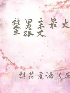 双男主最火十大军旅文