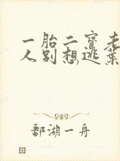 一胎二宝老婆大人别想逃叶南弦沈蔓歌