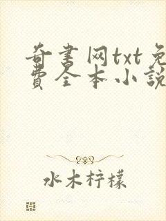 奇书网txt免费全本小说下载