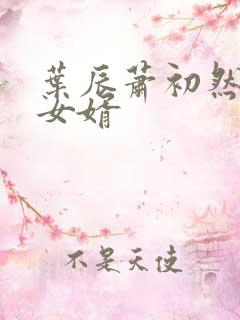 叶辰萧初然上门女婿