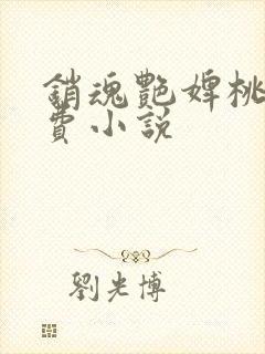销魂艳婢桃儿免费小说
