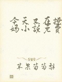 今天又在撩拨后妈小说免费阅读全文