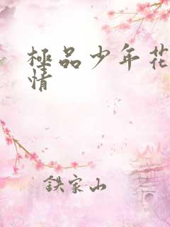 极品少年花都燃情