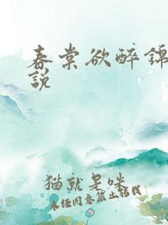 春棠欲醉锦一小说