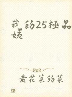 我的25极品小姨