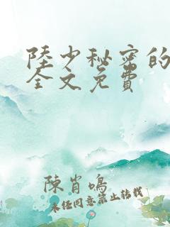 陆少秘密的恋人全文免费