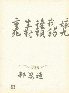 重生后我嫁给了死对头的九叔