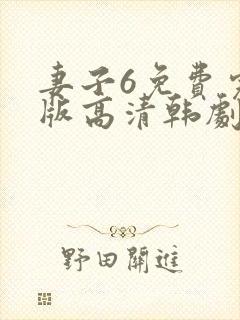 妻子6免费完整版高清韩剧中文版