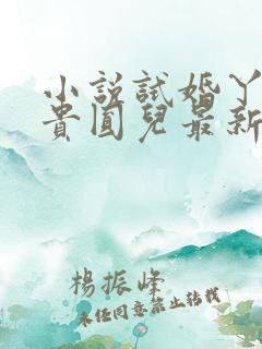 小说试婚丫鬟毕贵圆儿最新章节阅读