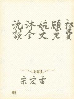沈沐婉顾祁安小说全文免费阅读