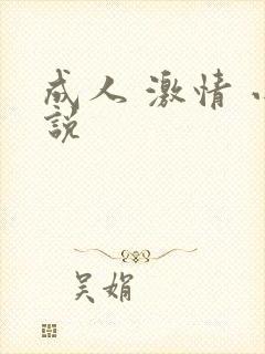 成人 激情 小说