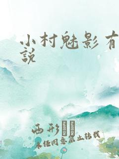 小村魅影有声小说
