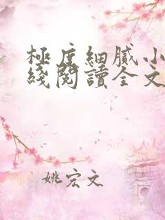 极度细腻小说在线阅读全文