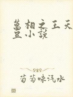万相之王天蚕土豆小说
