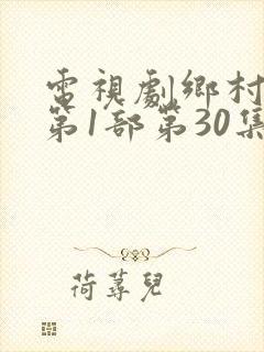 电视剧乡村爱情第1部第30集