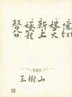 替嫁新娘亿万老公宠上天txt全文下载