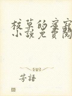 校草的蜜宠甜心小说免费阅读全文