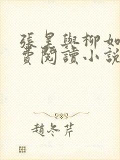 张昊与柳如烟免费阅读小说