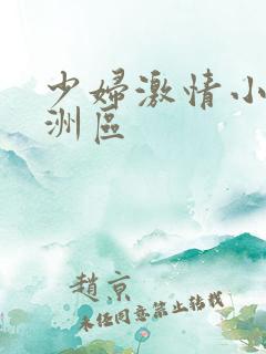 少妇激情小说亚洲区