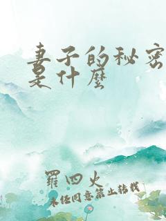 妻子的秘密结局是什么