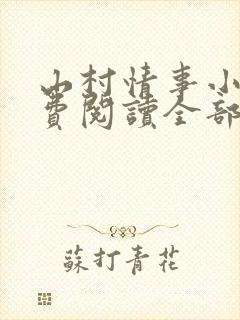 山村情事小说免费阅读全部