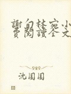谢旬林宛小说免费阅读全文最新章节