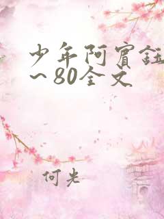 少年阿宾钰慧1～80全文