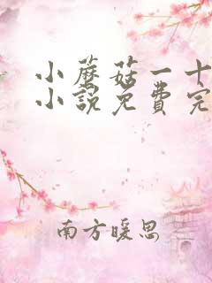 小蘑菇一十四洲小说免费完本