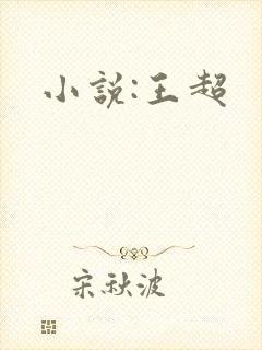 小说:王超