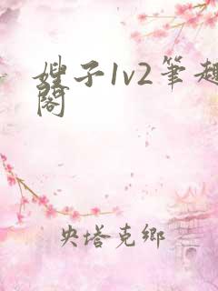 嫂子1v2笔趣阁
