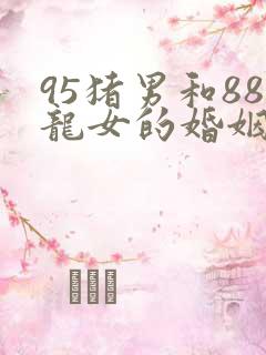 95猪男和88龙女的婚姻怎么样
