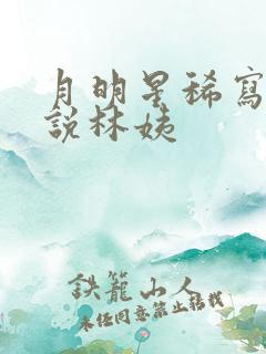 月明星稀写的小说林姨