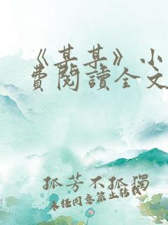 《某某》小说免费阅读全文