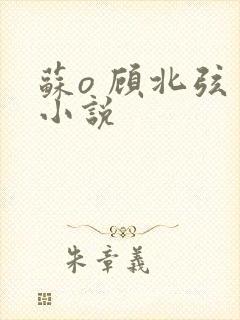 苏o 顾北弦 小说