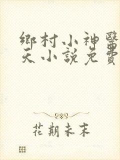 乡村小神医林小天小说免费阅读