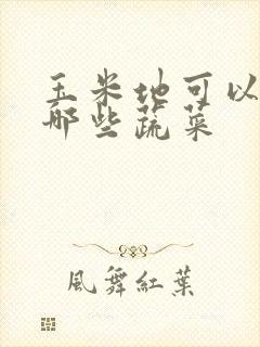 玉米地可以套种哪些蔬菜