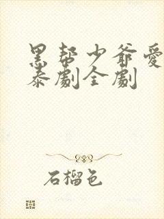 黑帮少爷爱上我泰剧全剧
