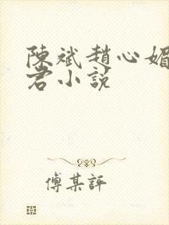 陈斌赵心媚高婉君小说