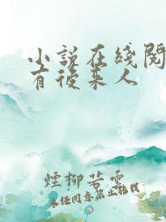 小说在线阅读还有后来人
