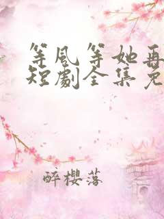 等风等她再回头短剧全集免费观看高清