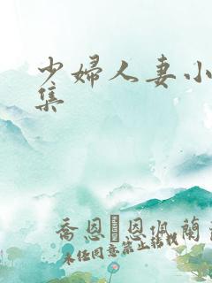 少妇人妻小说合集
