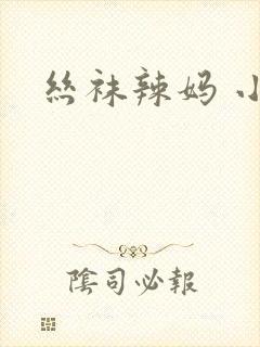丝袜辣妈 小说