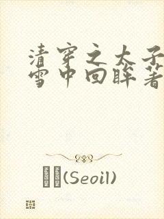 清穿之太子娇妃雪中回眸著