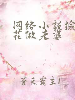 网络小说捡个校花做老婆