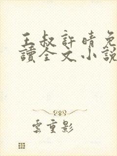 王叔许晴免费阅读全文小说
