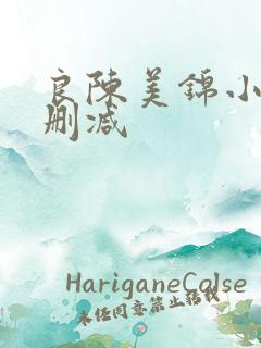 良陈美锦小说无删减