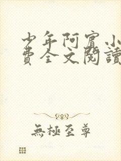 少年阿宾小说免费全文阅读